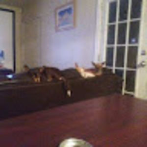 Meet your Posher, Chelsey lynn